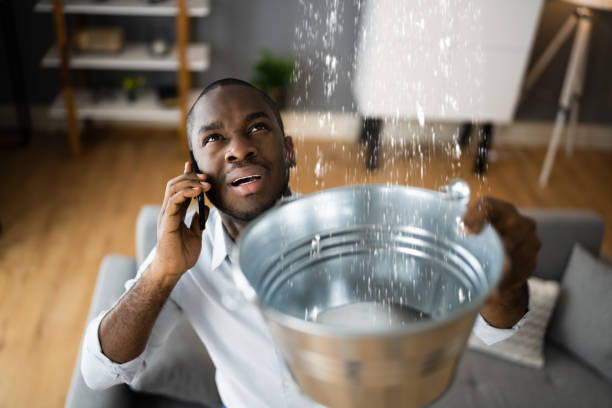 Best Ceiling water damage repair  in Crossett, AR