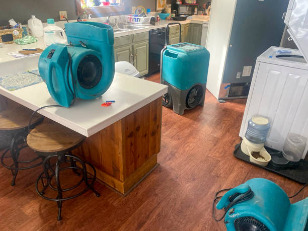 Best 24/7 water damage repair  in Crossett, AR
