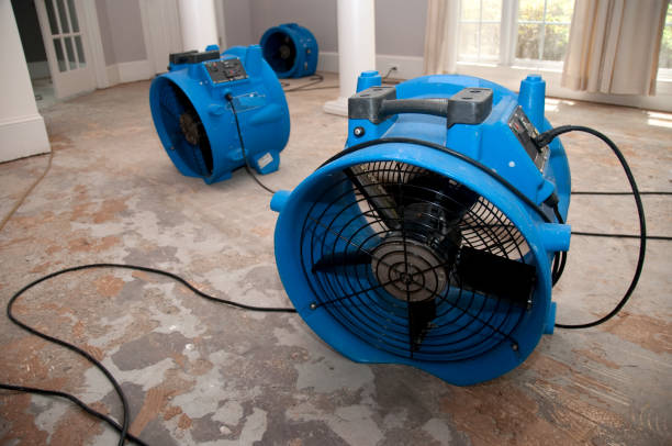 Best Water damage restoration near me  in Crossett, AR