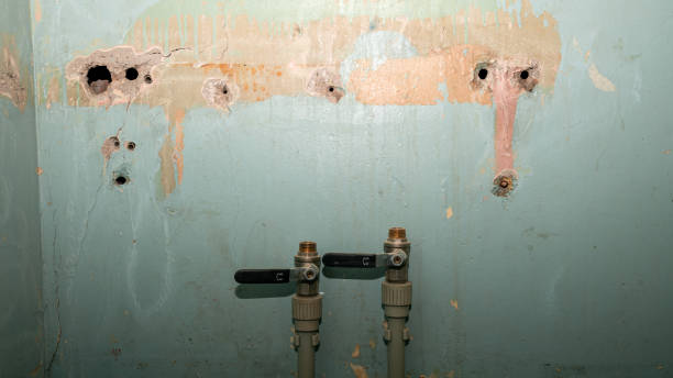 Best Basement water damage restoration  in Crossett, AR