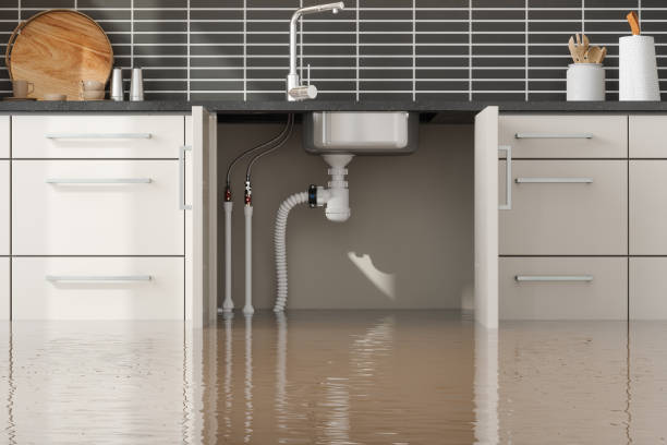 Best Flooded house restoration  in Crossett, AR